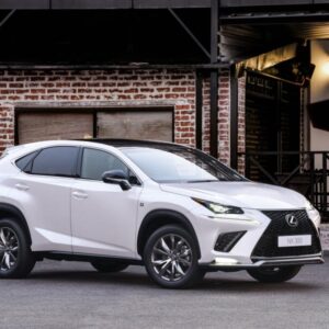 Антикор на Lexus NX 300